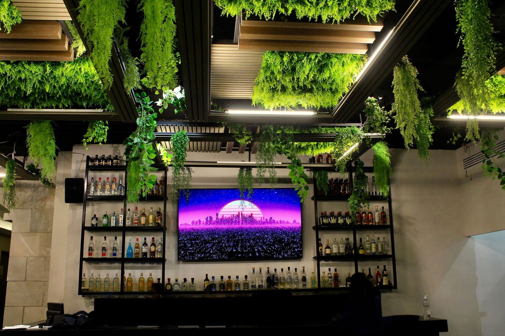 Un bar con un televisor en la pared y plantas colgando del techo.