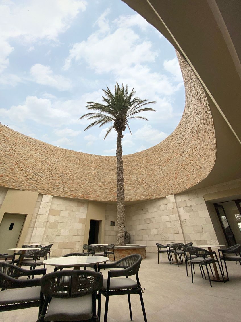 Una palmera está en medio de un patio con mesas y sillas.