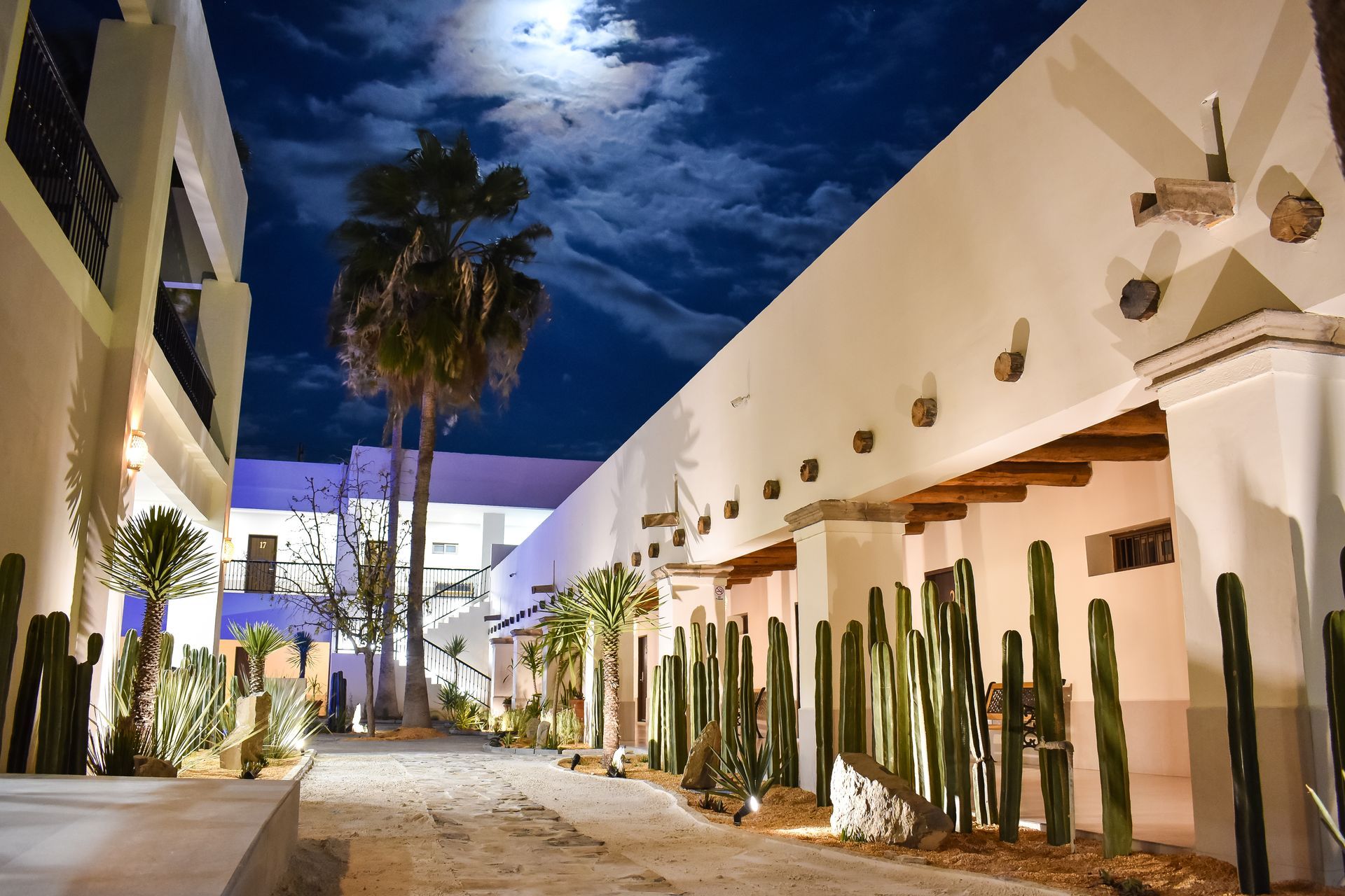 A row of buildings with palm trees and cactus in front of them at night.