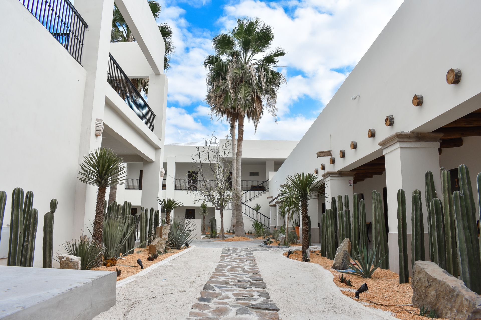 A white building with palm trees on the side of it