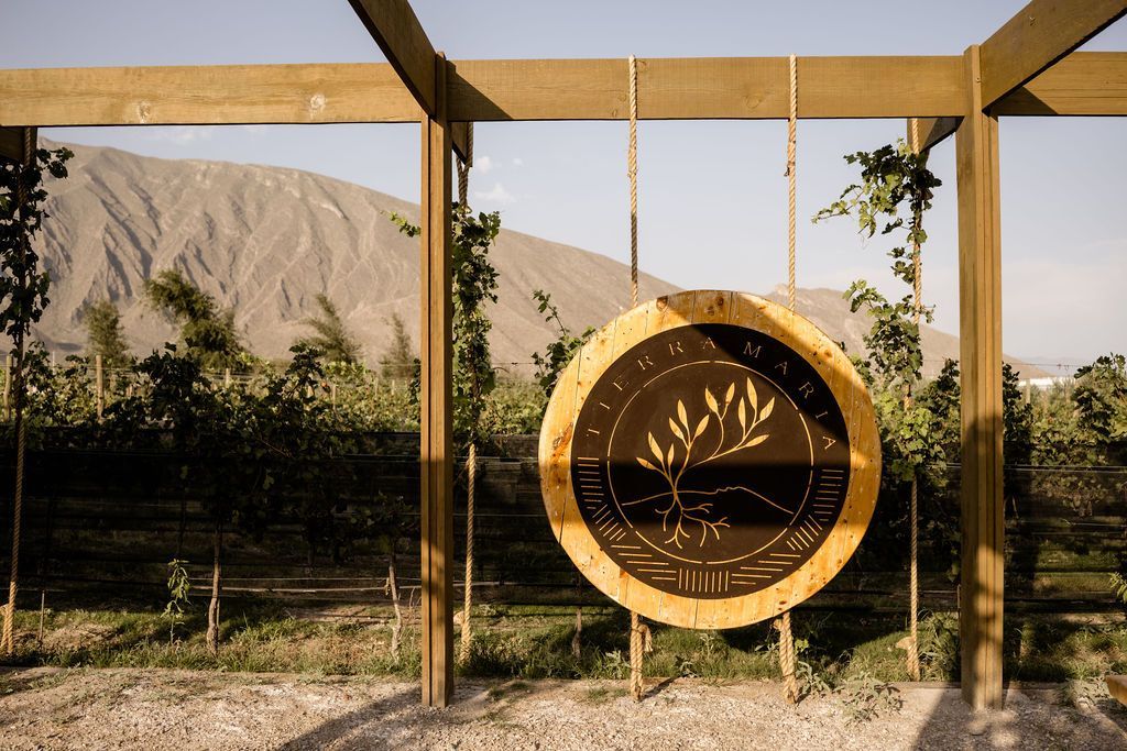 Un columpio de madera con diseño de árbol cuelga de una estructura de madera.