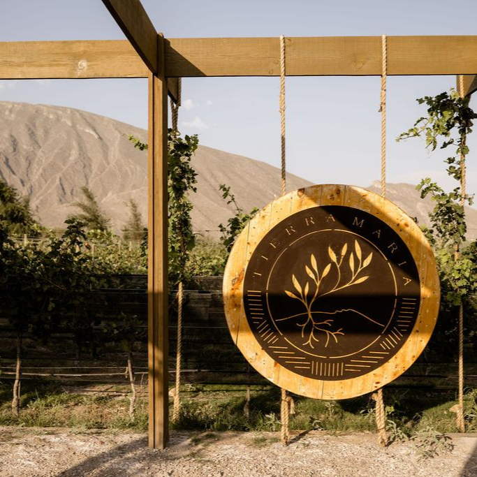 Un columpio de madera con diseño de árbol cuelga de una estructura de madera.