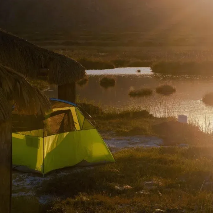 Carpa verde cerca de un estanque al atardecer, con una estructura de techo de paja a la vista.