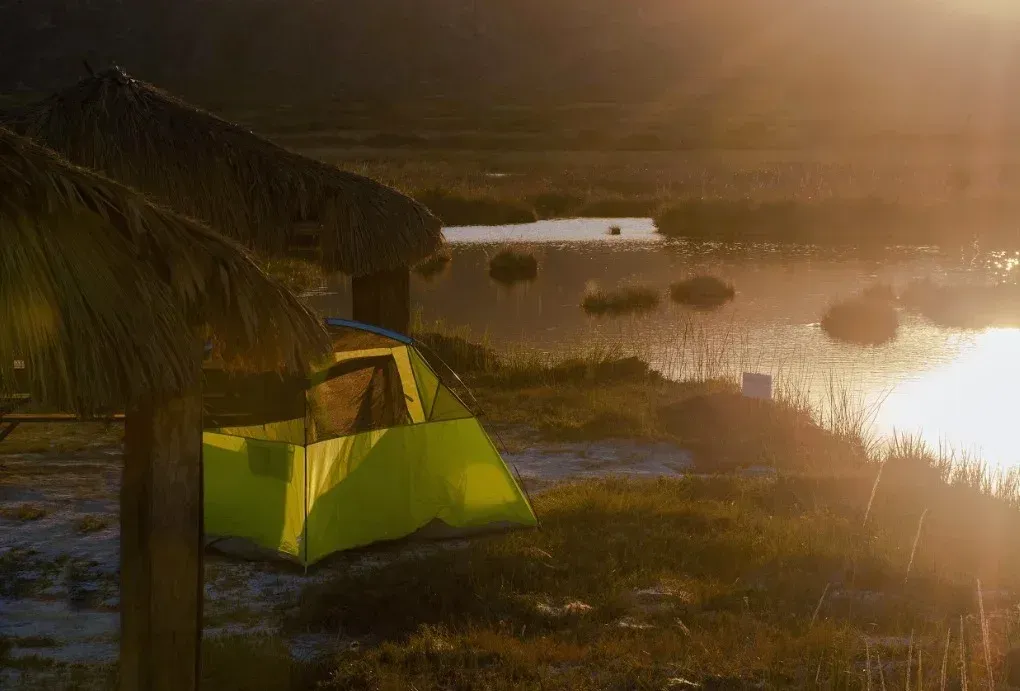 Carpa verde cerca de un estanque al atardecer, con una estructura de techo de paja a la vista.