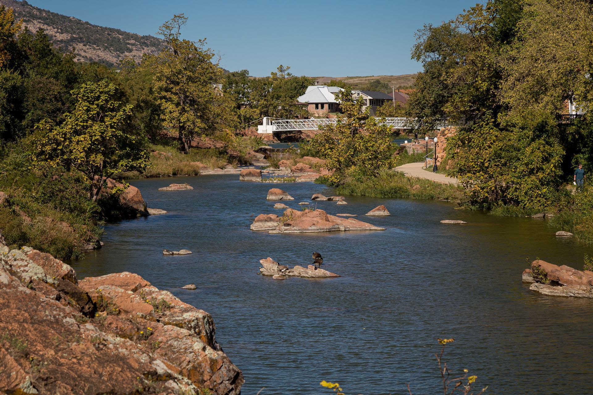 River with rocks flowing through a wooded landscape under a clear blue sky