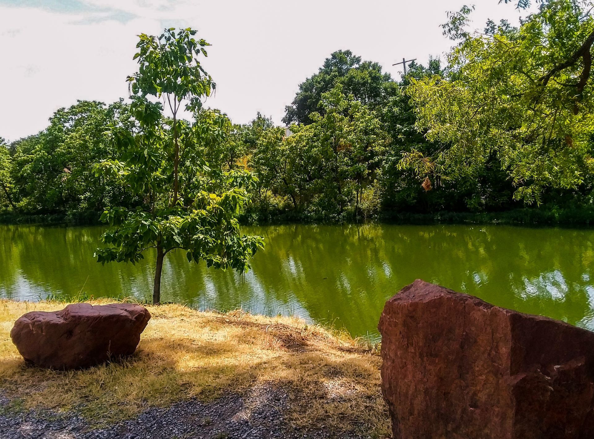 Green pond with trees reflected in the water and large rocks in the foreground