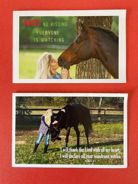 Chestnut and white paint horse in a pen, looking left with a white mane.