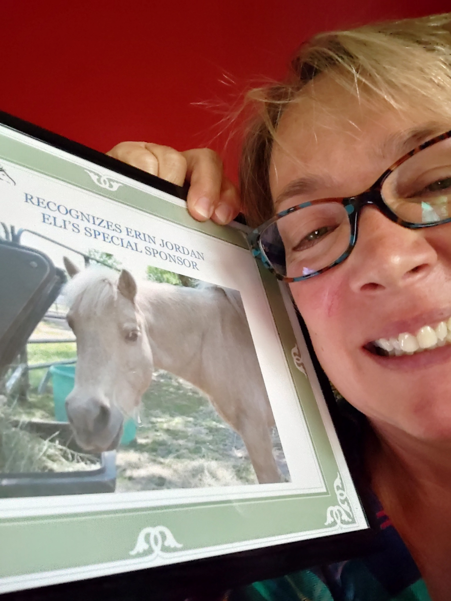 Children with handprints on a white pony, waving near a fence. Outdoors, green grass.