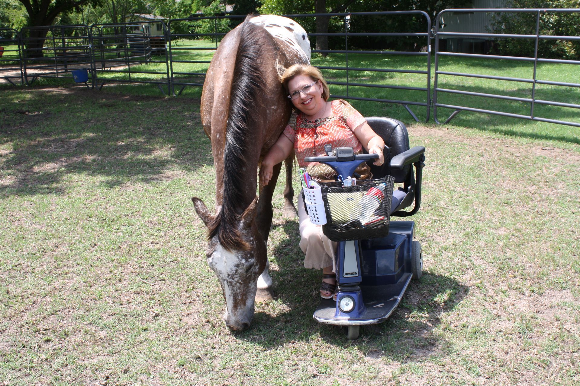 Woman in a mobility scooter petting a horse in a grassy outdoor area.
