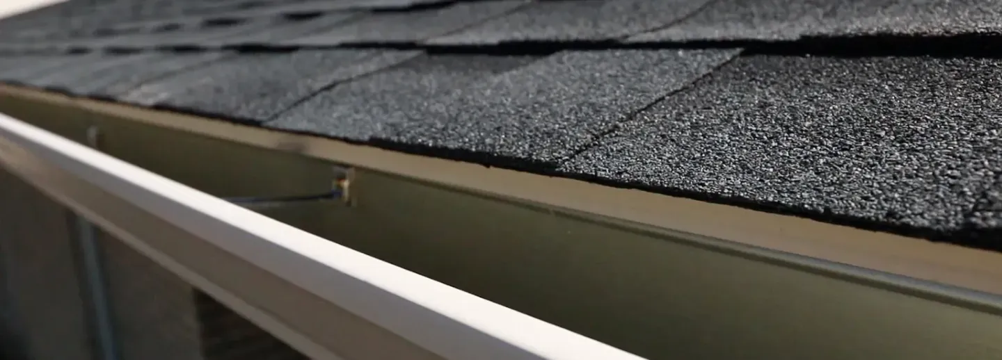 Clean gutter free of debris