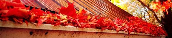 Gutter full of fall leaves
