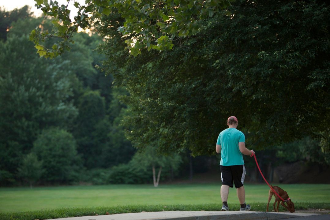 A man is walking a dog on a leash in a park.