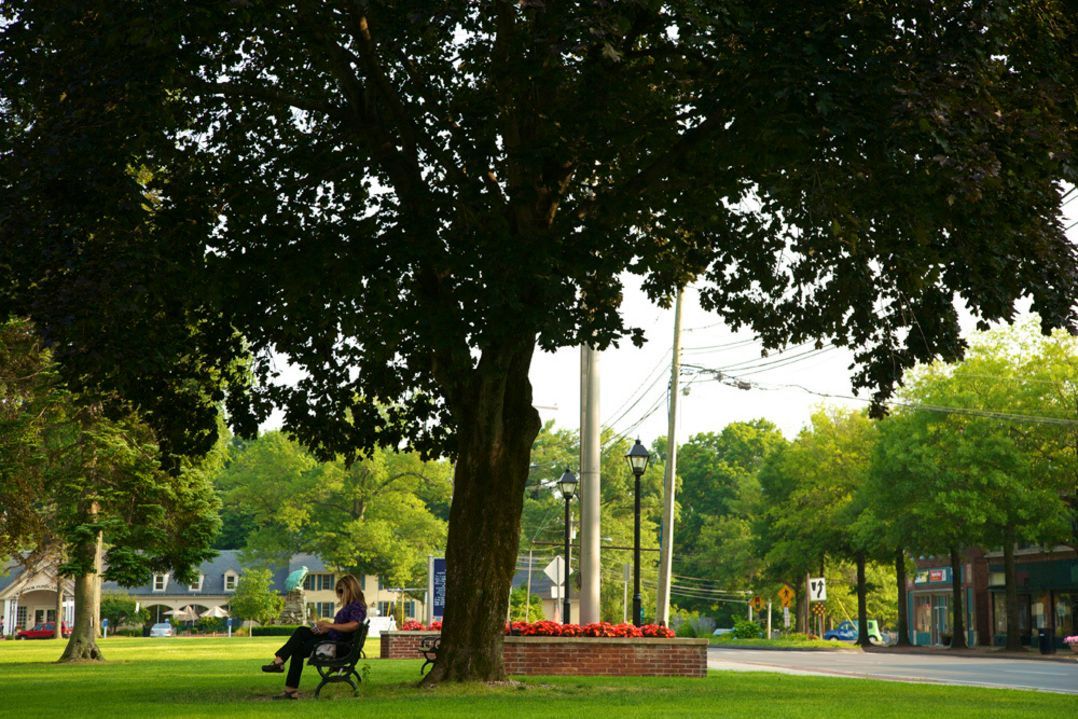 A woman sits on a bench under a tree in a park