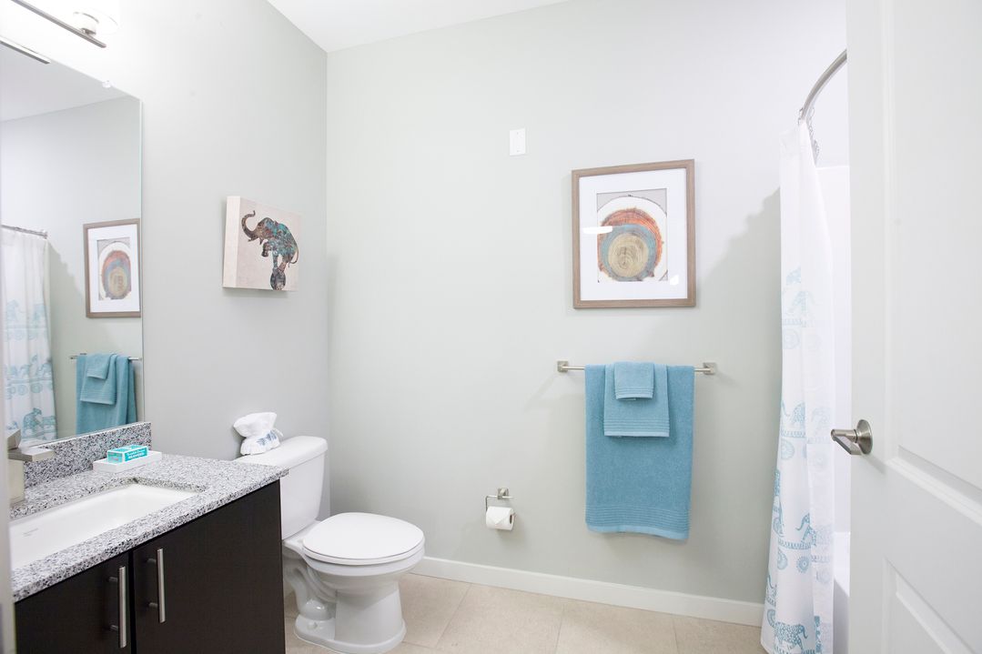 A bathroom with a toilet , sink , mirror and shower curtain.