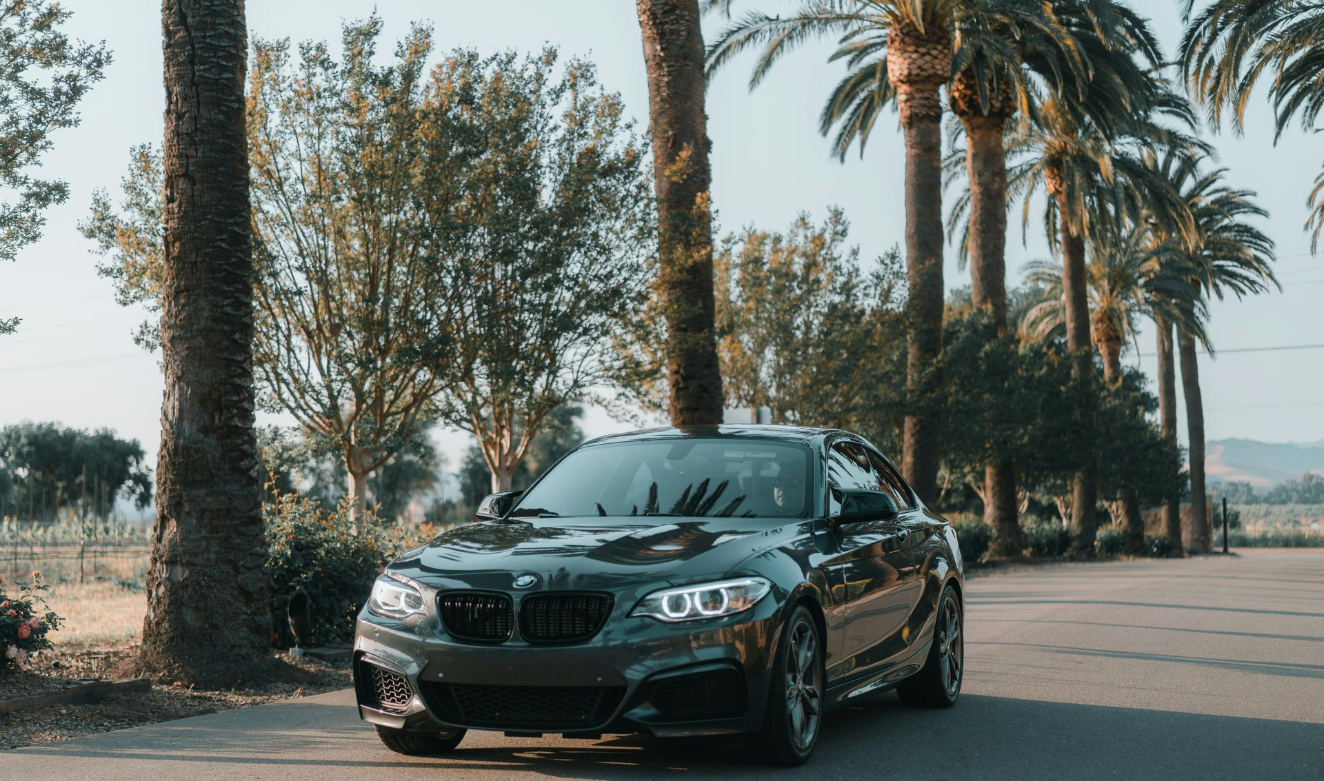Dark gray BMW coupe parked on a road lined with palm trees.