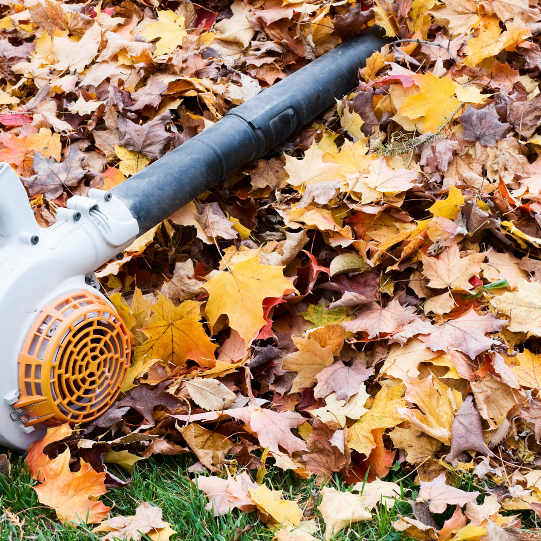 Essential lawn tips for your lawn to get ready for fall and winter. 