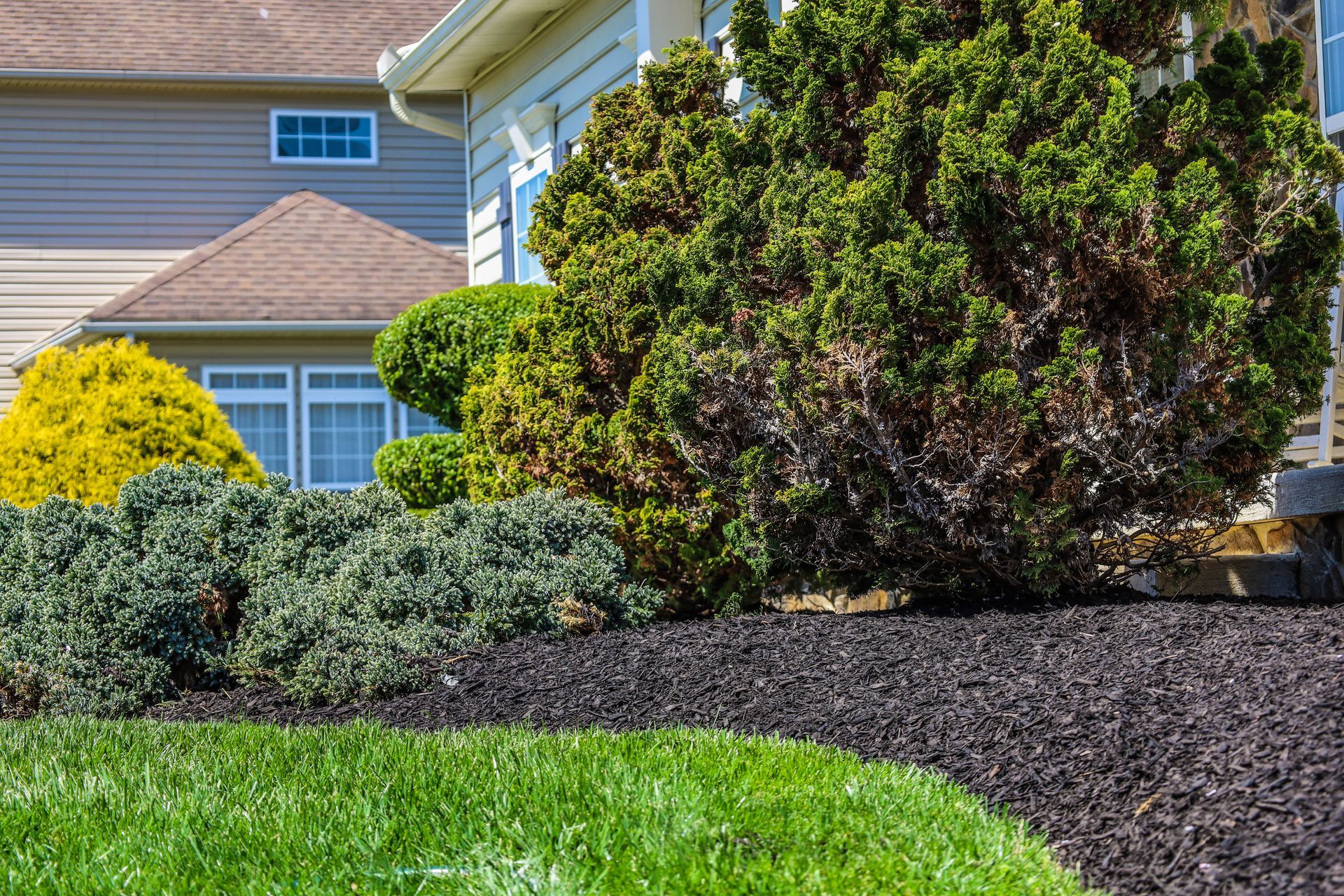 Upgrade your curb appeal with our expert mulching services in Delaware