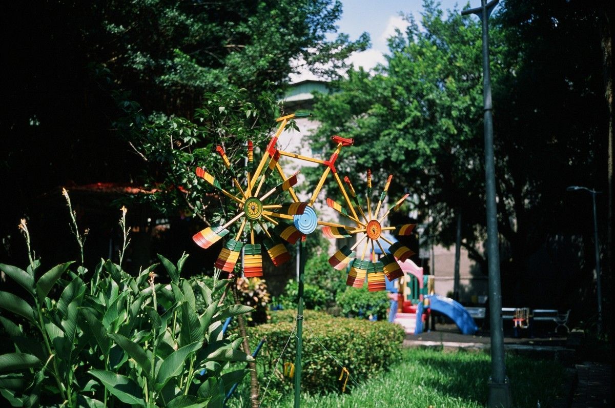 Fujifilm Provia 100F (120)