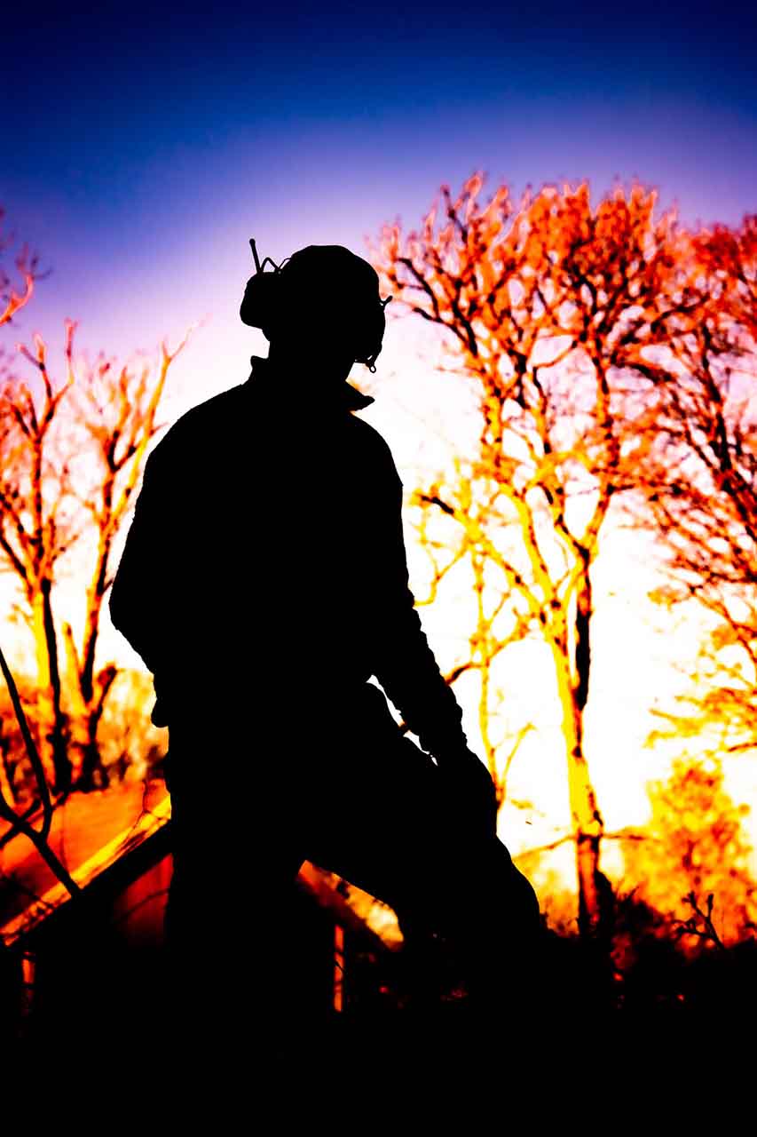 Trädfällning Per Sjöholm