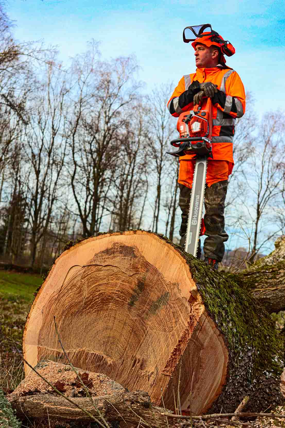 Vi hjälper dig med trädfällning och ved - Per Sjöholm har lång erfarenhet av att fälla träd..