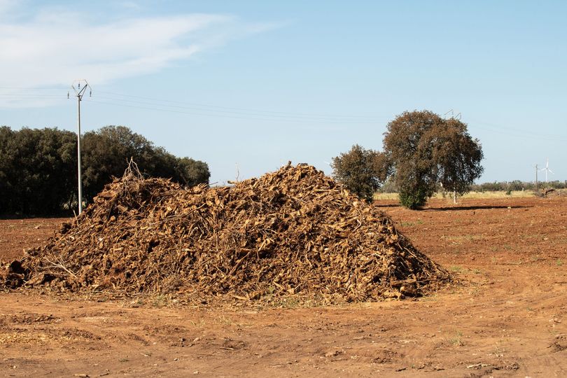 Mucchio di detriti marroni su un campo di terra rossa, alberi e cielo azzurro sullo sfondo.