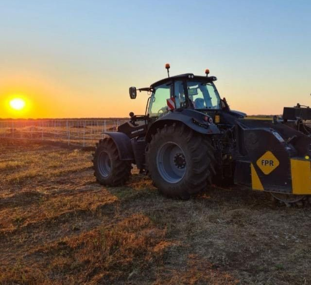 Olive verdi pendono dal ramo di un albero, mentre file di ulivi sfumano nella luce del sole.