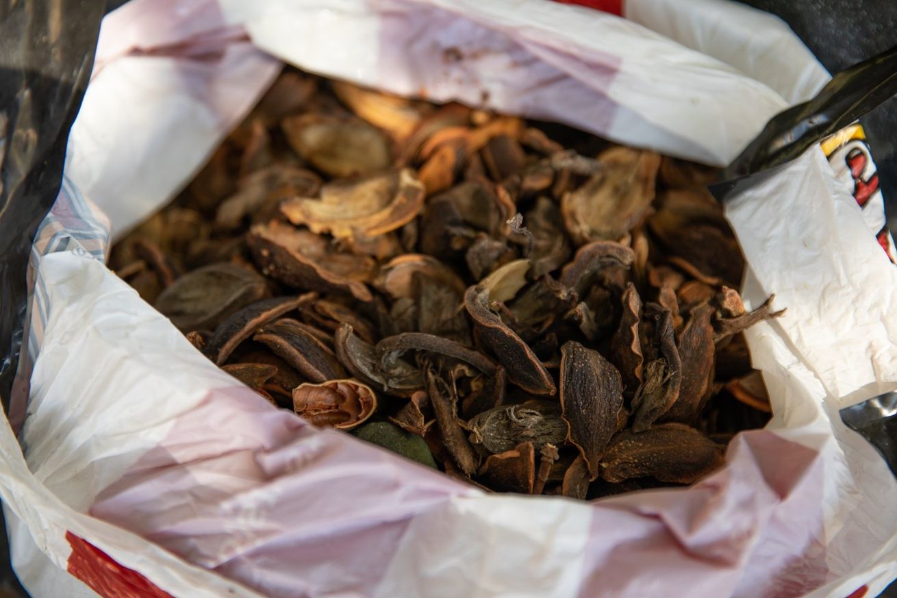 Seed Husks in a Bag at Aloha Food Forest Image