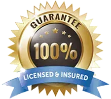 A gold guarantee badge with a blue ribbon on a white background.
