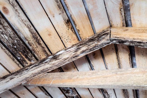 Close-up of a weathered wooden ceiling with diagonal beams and peeling paint