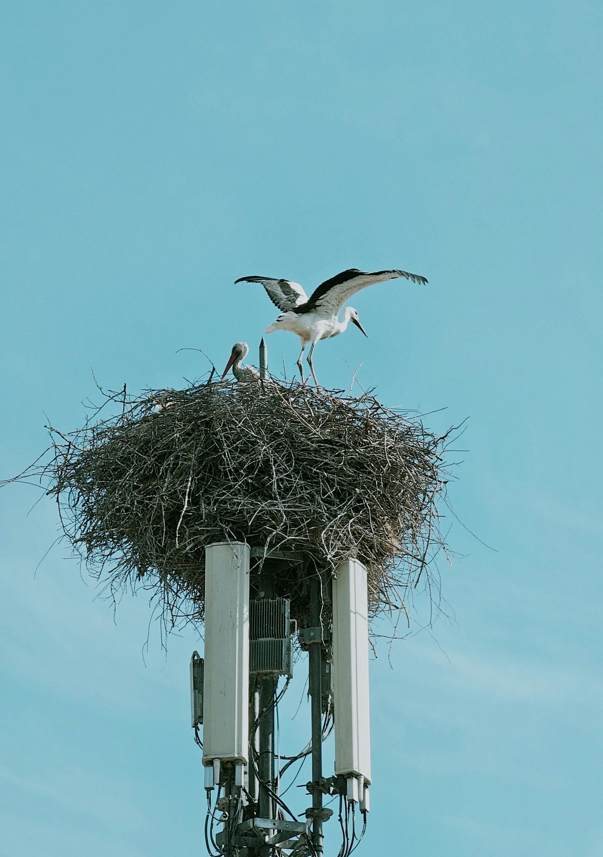Water Delivery Service in Alabama