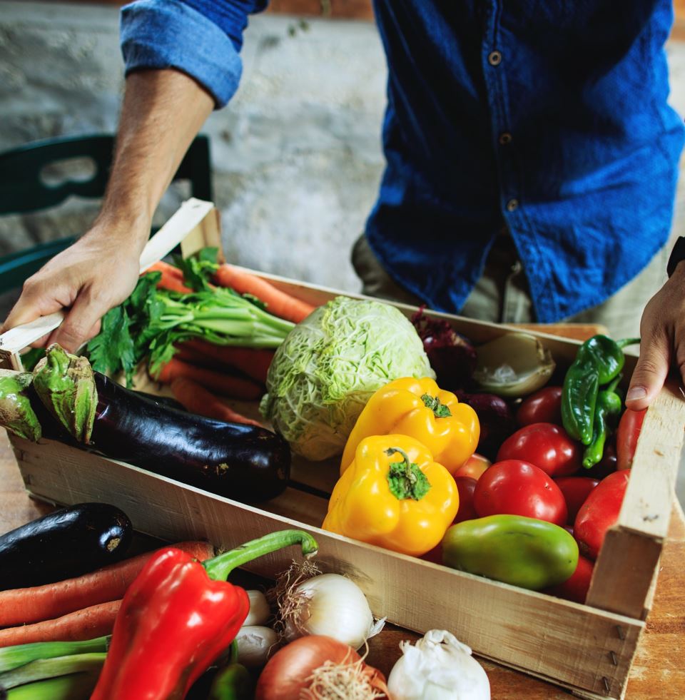 vendita frutta e verdura bio