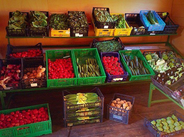 azienda agricola familiare