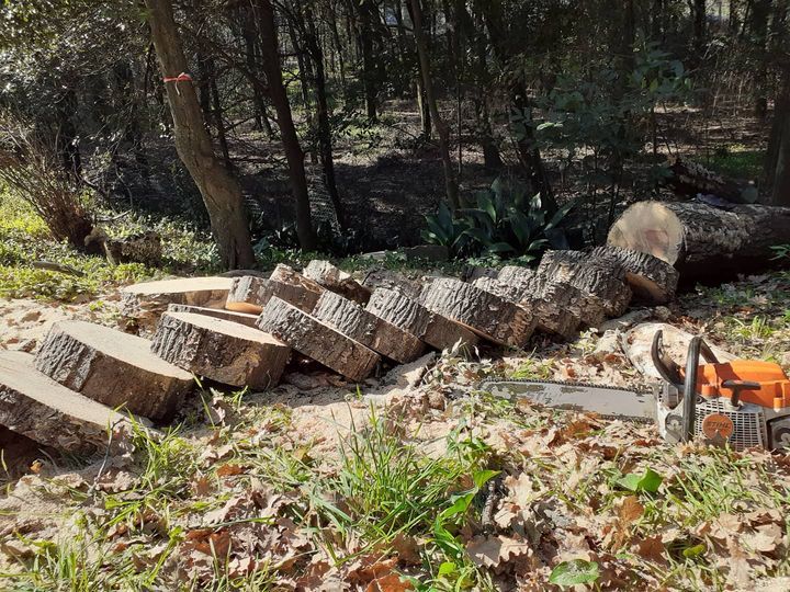 Serviz di giardinaggio