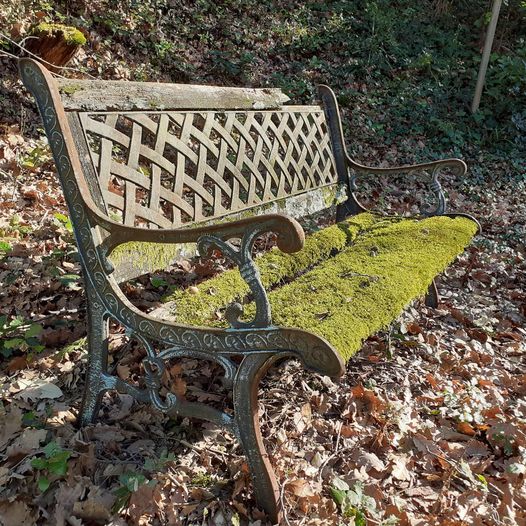 Serviz di giardinaggio