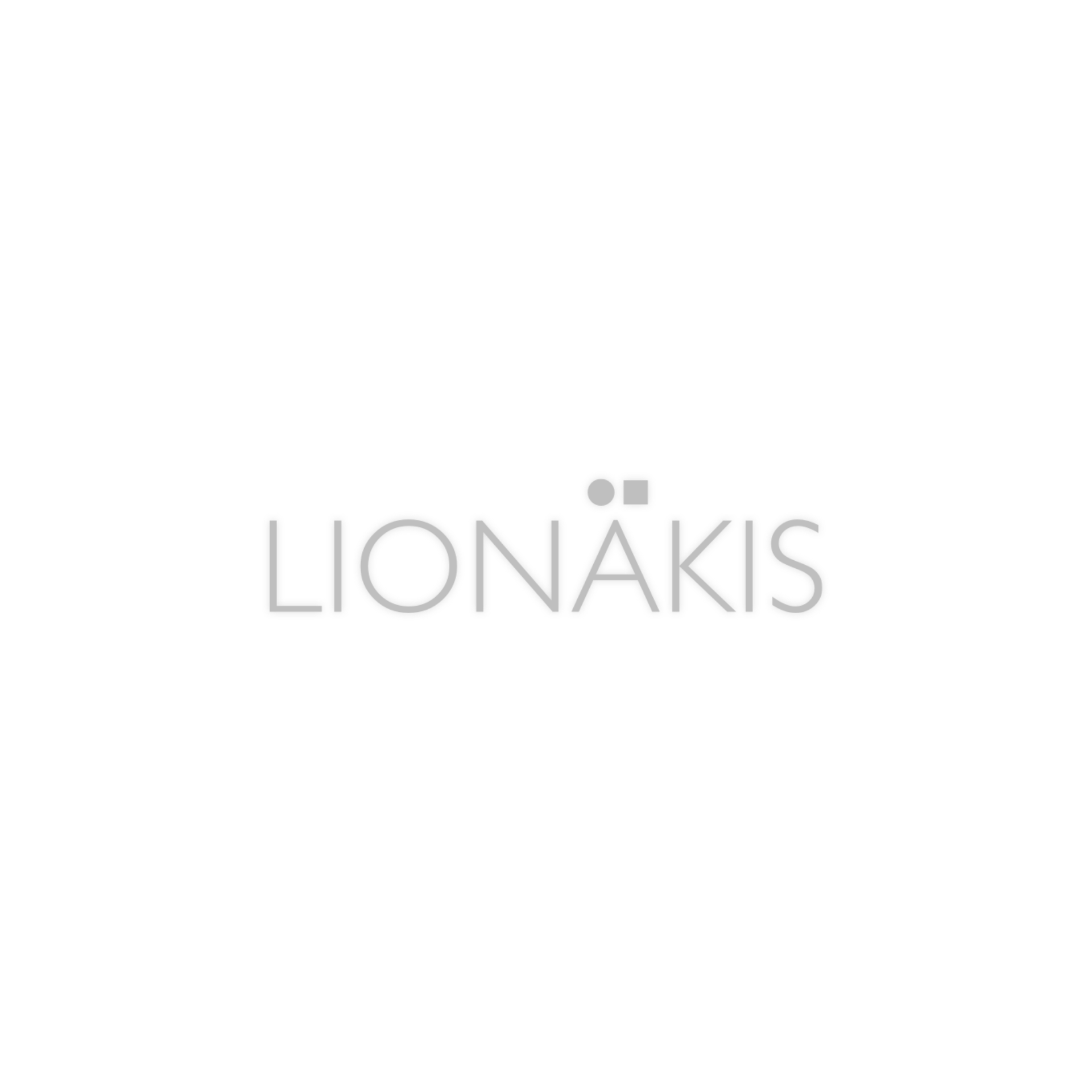 Lionakis Logo