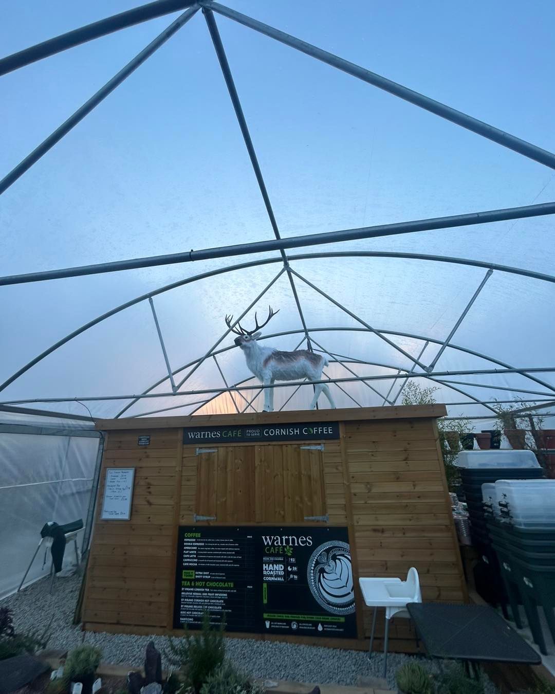 Reindeer statue on a wooden structure inside a greenhouse. Signage with black text. Clear plastic roof overhead.
