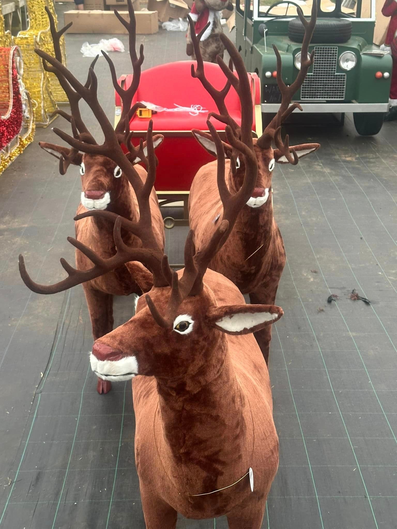 Three brown reindeer pulling a red Santa sleigh; outdoor setting.