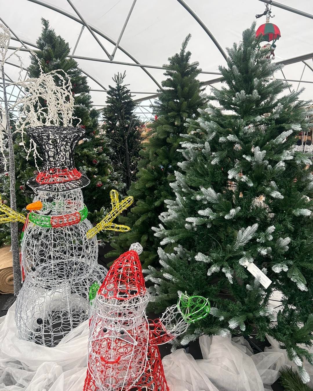 Christmas scene: Wire snowman and Santa near frosted and plain Christmas trees, under a greenhouse-like structure.