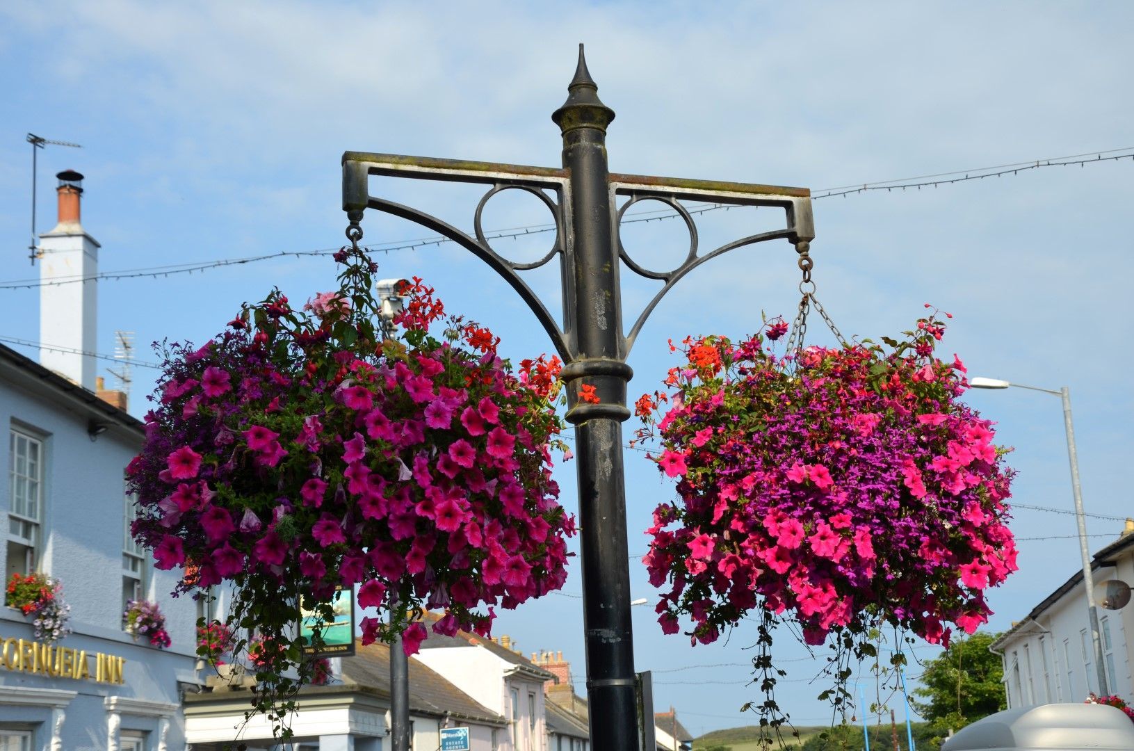 Black lamppost with hanging baskets of vibrant pink flowers, street scene.