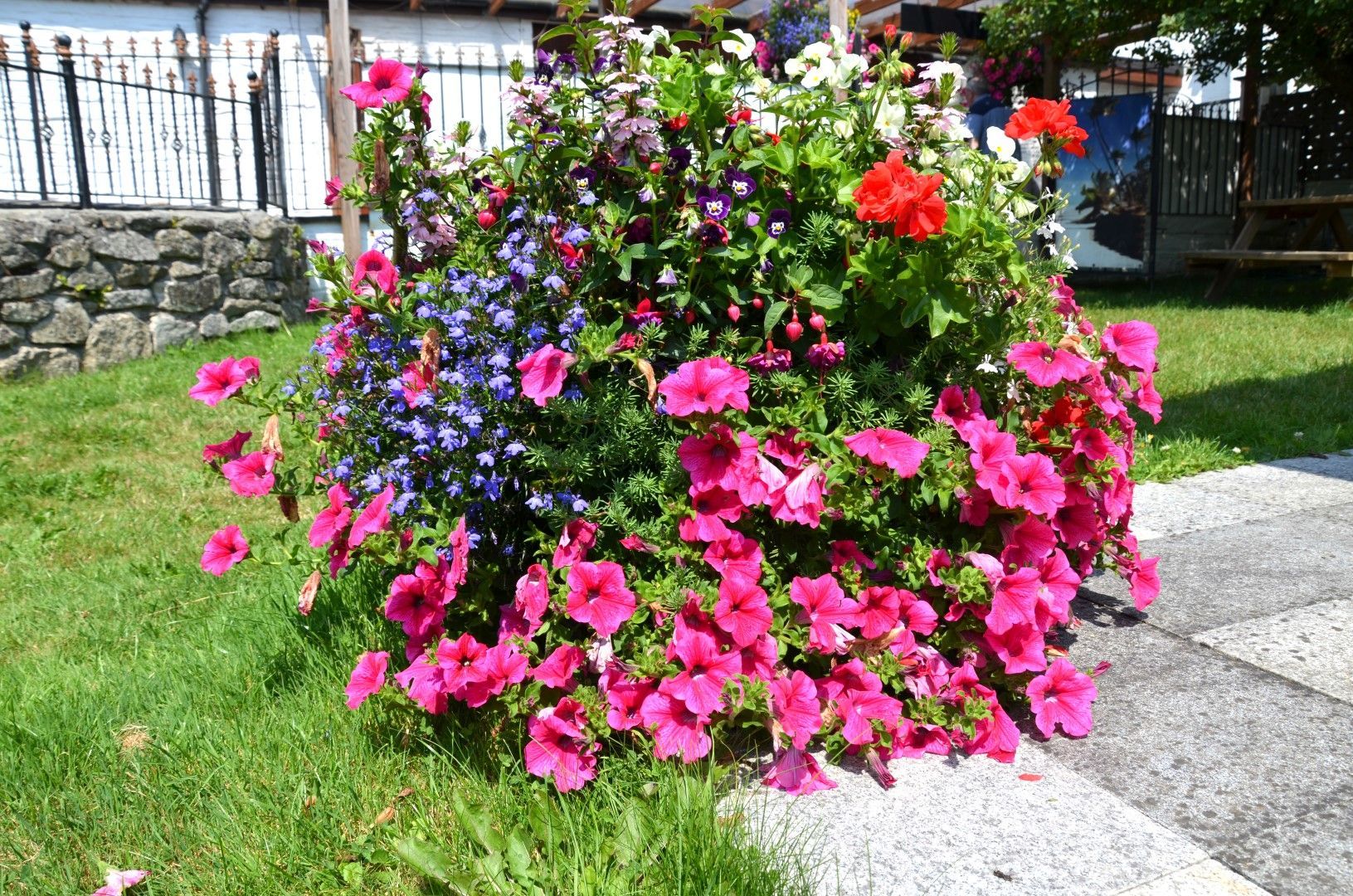 Colorful flower bed overflowing with pink, blue, and red flowers in a garden setting.
