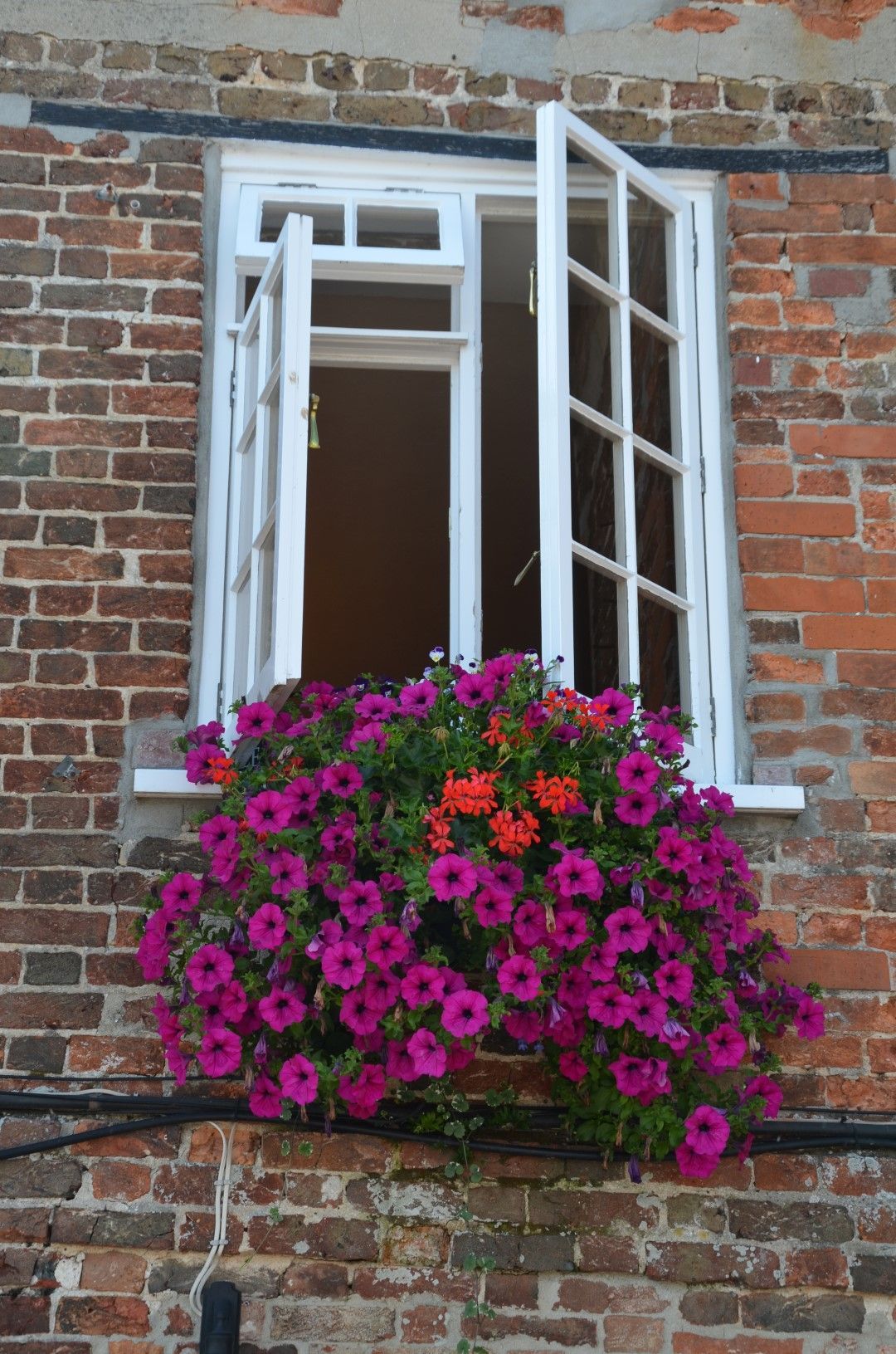 Open white window with a vibrant window box overflowing with magenta and orange flowers against a brick wall.