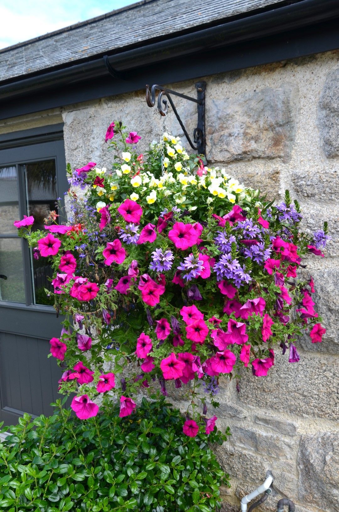 Hanging basket overflowing with vibrant pink, purple, and yellow flowers on a stone wall.