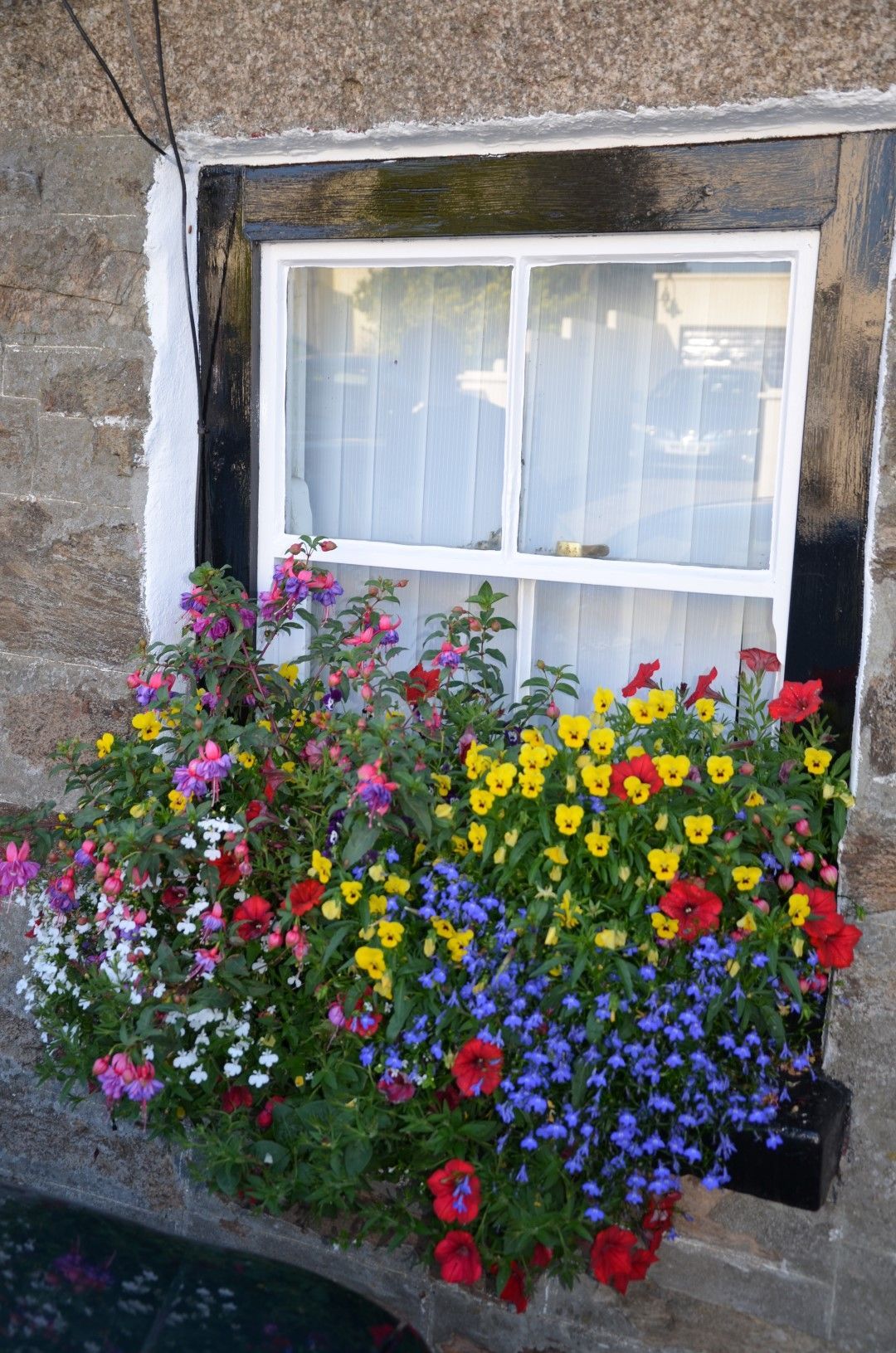 Window box overflowing with colorful flowers: red, yellow, purple, and pink blooms in front of a white-framed window.