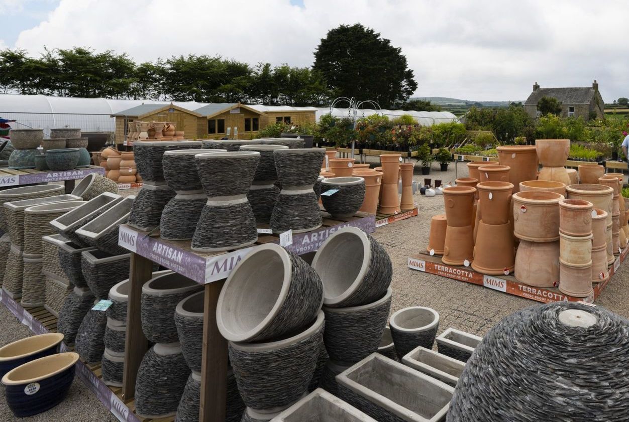 Potted plants for sale at a garden center, featuring various shapes, colors, and textures, displayed outdoors.
