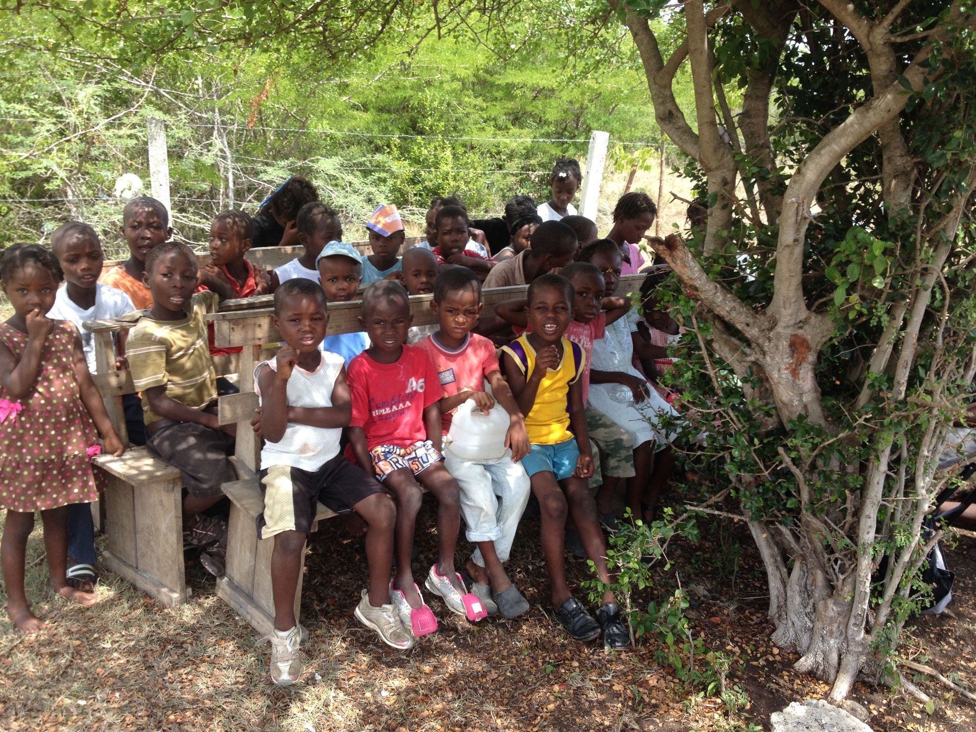 Group of children sitting on a bench under a tree, outdoors. They look toward the camera.