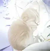 Mrs Sandra Pigliafiori