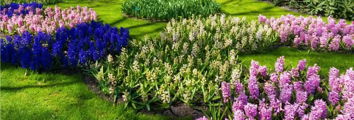 Landscaping Mangonia Park FL