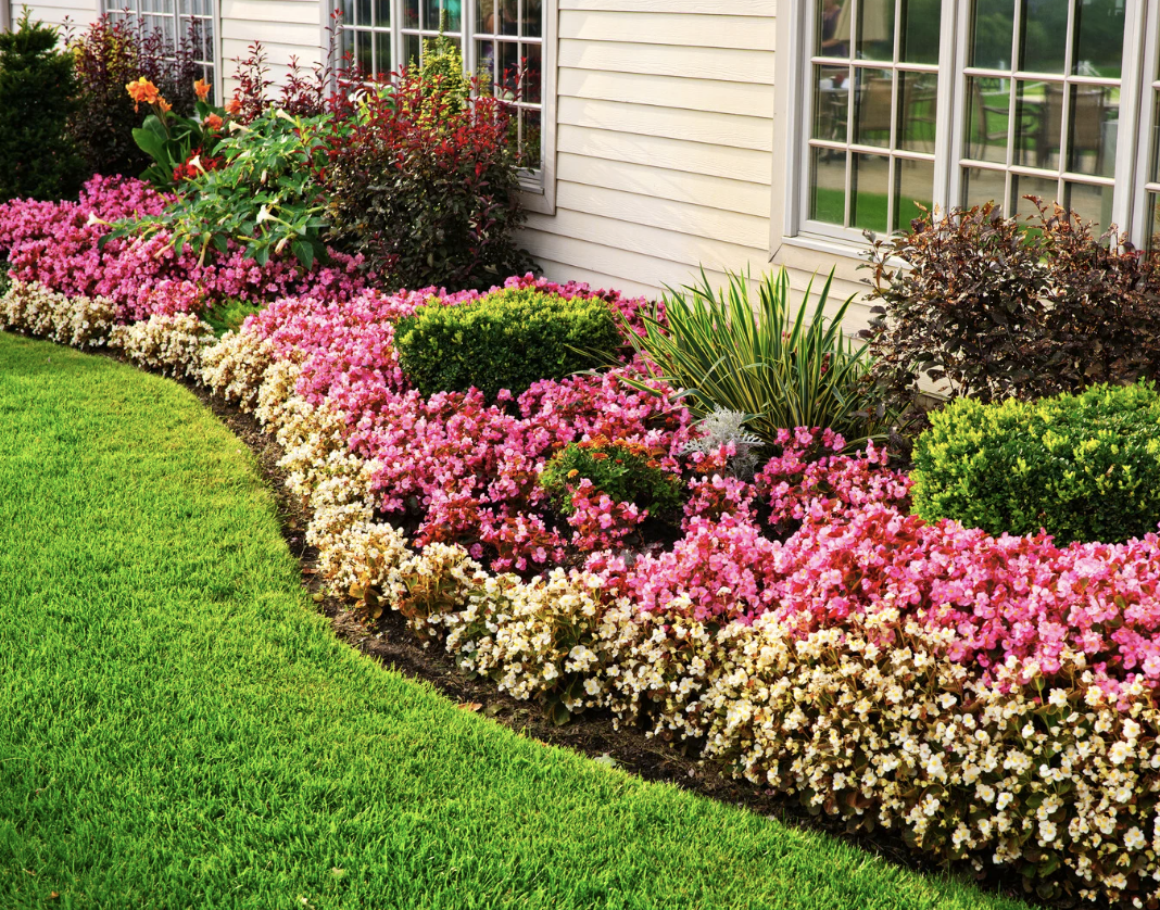 Landscaping Services in Blowing Rocks, FL