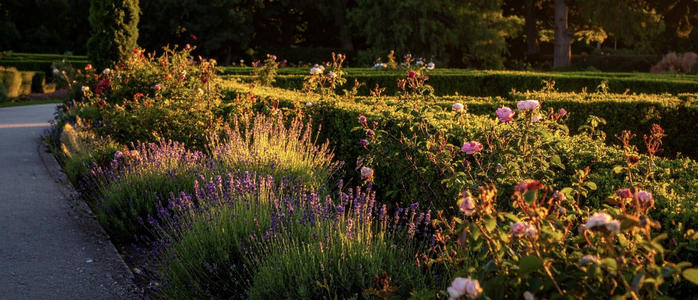 Landscaping Services in Golden Lakes, FL