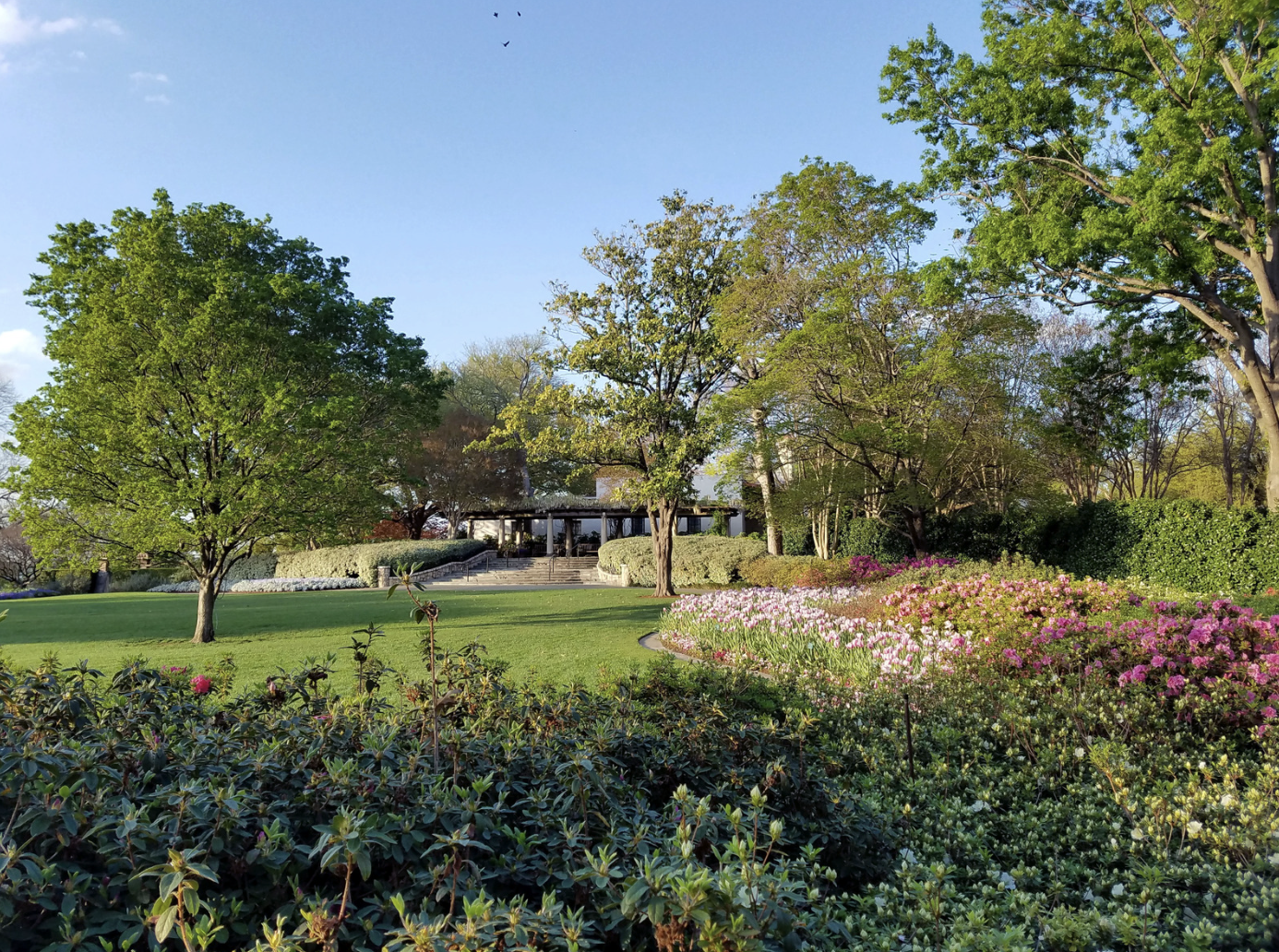 Landscaping Services in Golden Lakes, FL